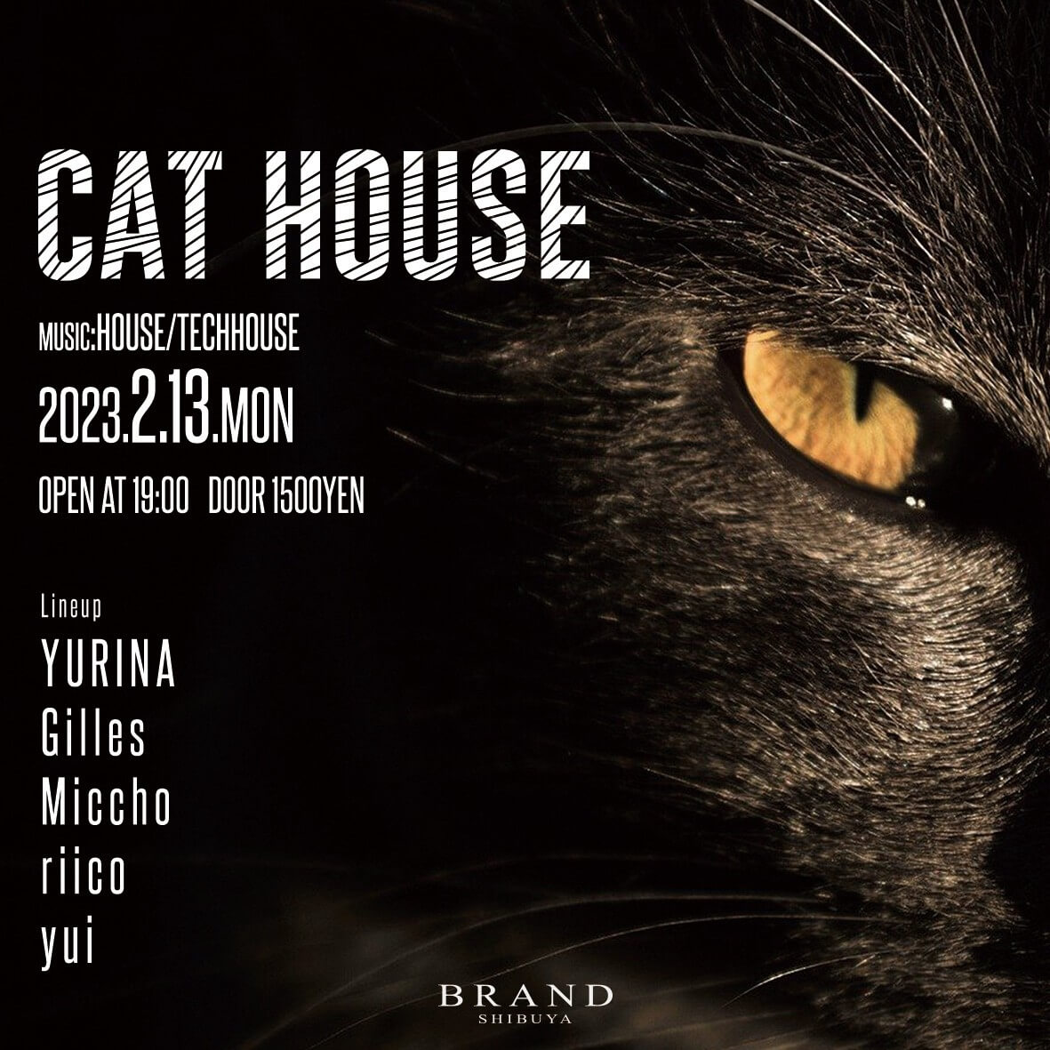 CAT HOUSE 2023年02月13日（月曜日）に渋谷 クラブのBRAND SHIBUYAで開催されるHOUSEイベント
