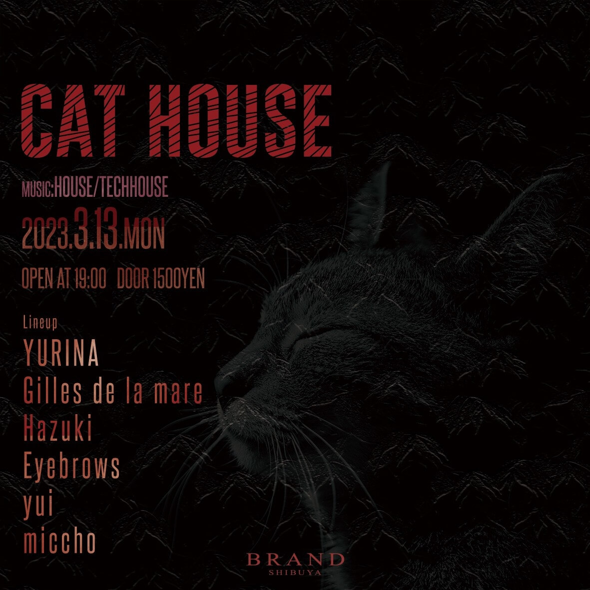 CAT HOUSE 2023年03月13日（月曜日）に渋谷 クラブのBRAND SHIBUYAで開催されるHOUSEイベント