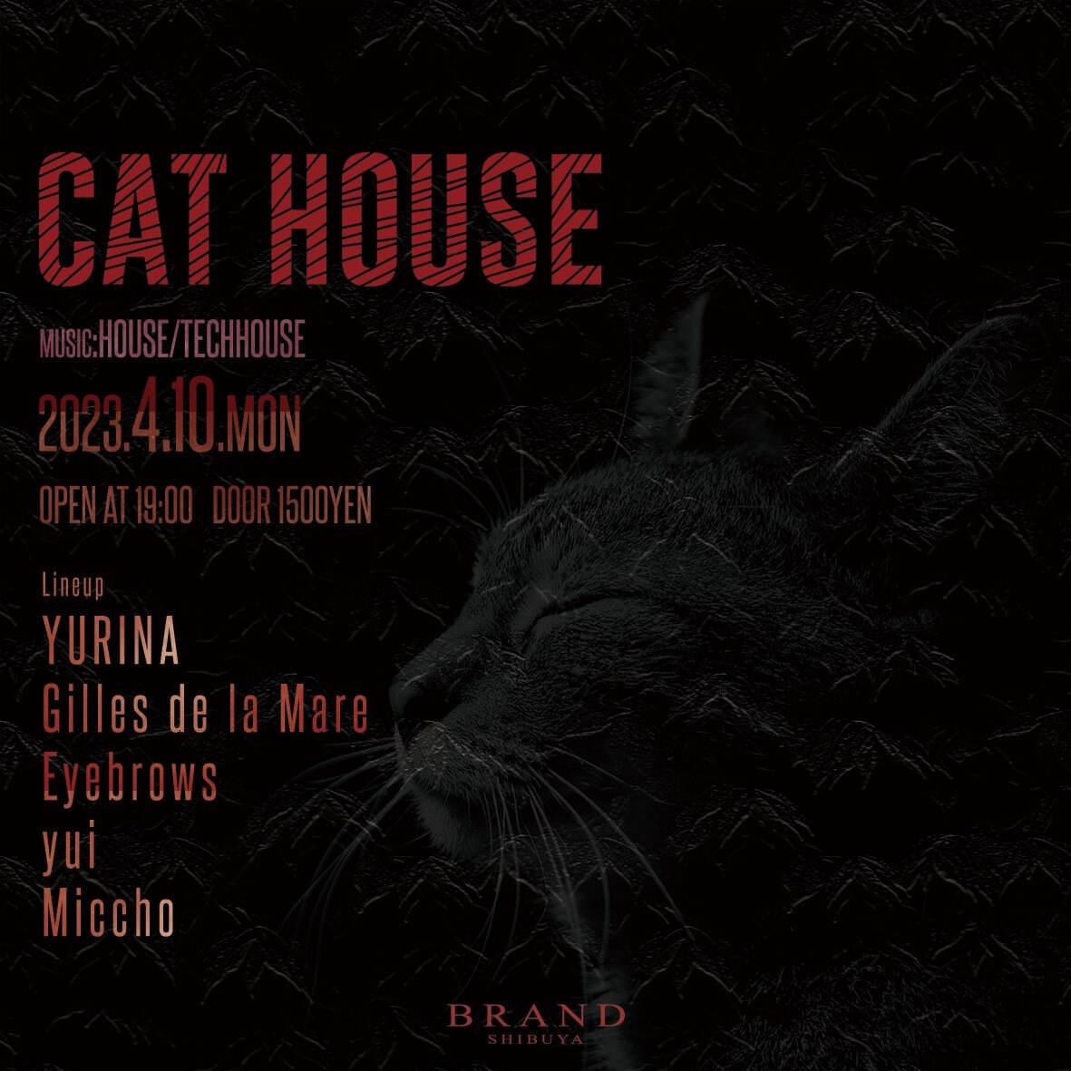 CAT HOUSE 2023年04月10日（月曜日）に渋谷 クラブのBRAND SHIBUYAで開催されるHOUSEイベント